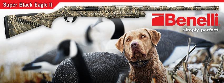 10514702 10152596159192389 3413040725910833889 n